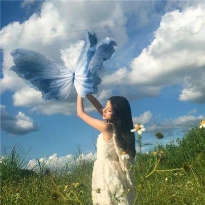 七彩狗